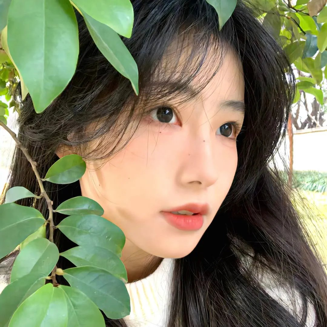 小犬子